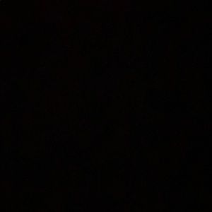 Meet your Posher, Abbee